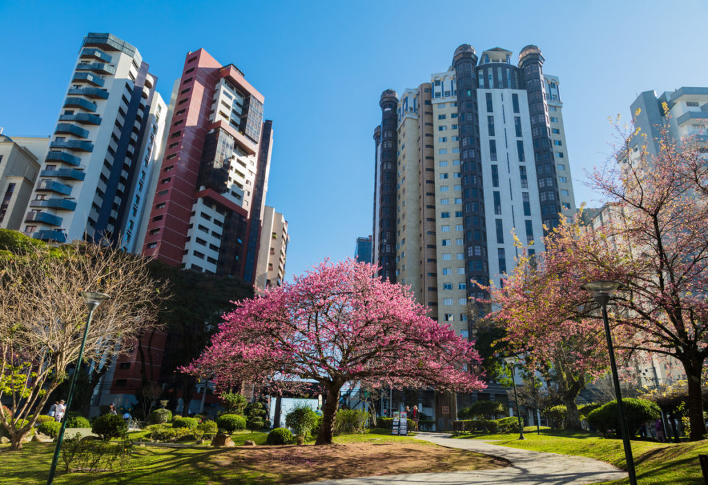 Curitiba: Aluguel residencial sobe 1,79% em fevereiro e acumula alta de 24,17% em 12 meses